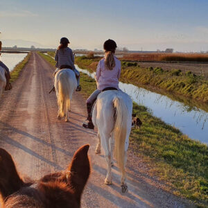 Ruta a caballo por el Delta del Ebro