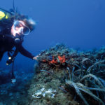 Submarinismo